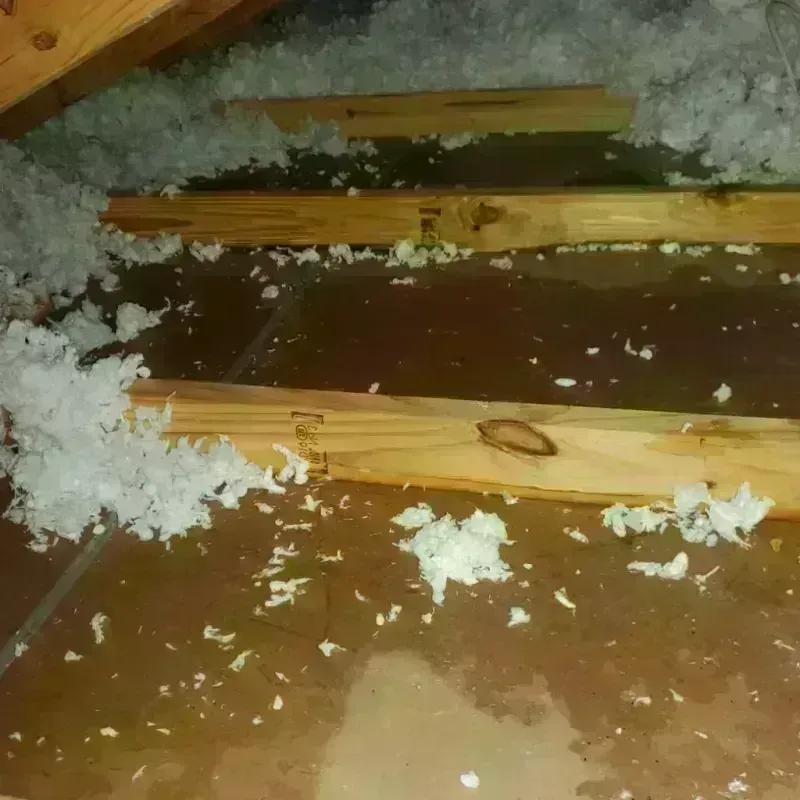 Attic Water Damage in McCloud, CA