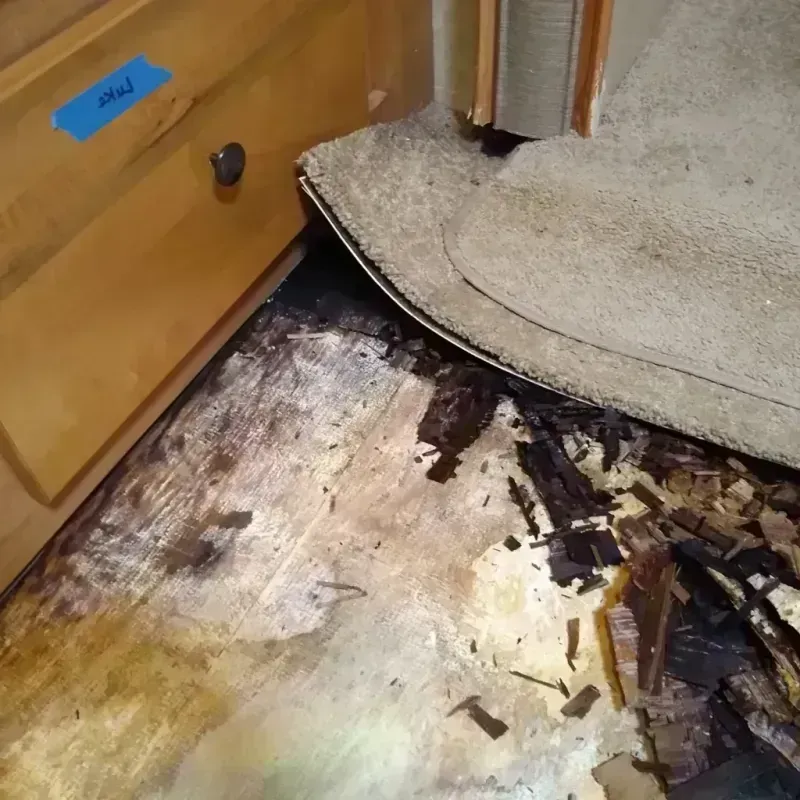 Wood Floor Water Damage in McCloud, CA